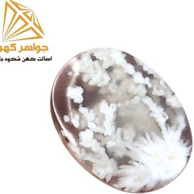 تصویر نگین شجر زمستانی (کد۷۱) 