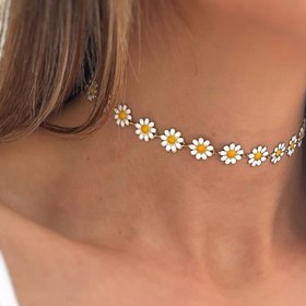 تصویر چوکر بابونه 