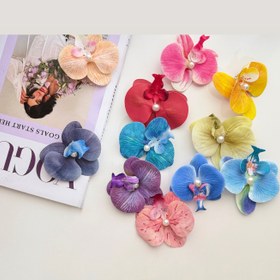 تصویر گیره انبری ارکیده 