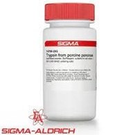 تصویر پودر تریپسین گرید کشت سلول سیگما ,Trypsin Sigma T4799 