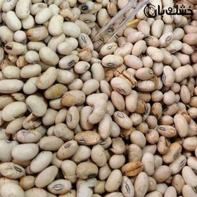 تصویر سویا آجیلی 