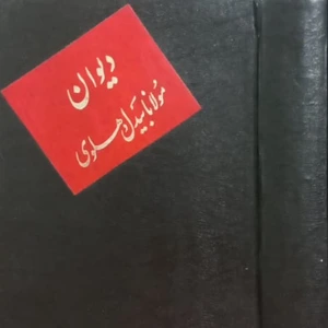 تصویر فروشگاه کتابفروشی رومی