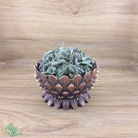 تصویر گیاه دارویی مریم گلی سید عطار 