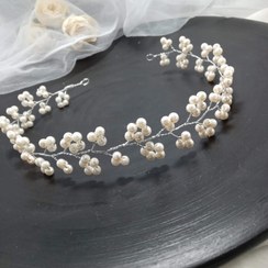 تصویر ریسه مو اروپایی 