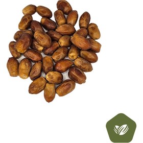 تصویر خرما زاهدی 