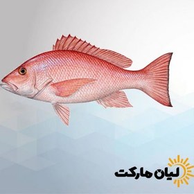 تصویر ماهی سرخو ۵ کیلوگرم 