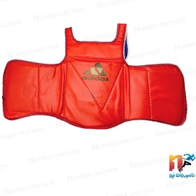 تصویر هوگو ووشو ساندا 