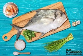 تصویر ماهی قاضی(مقوا گیش) 