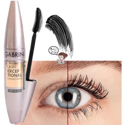 تصویر ریمل گابرینی مدل لش اکسپشنال خیلی مشکی Gabrini Lash Exceptional very black mascara