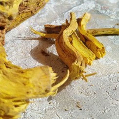 تصویر ریشه زرشک کوهی - پاکت / ۵۰۰ گرم 