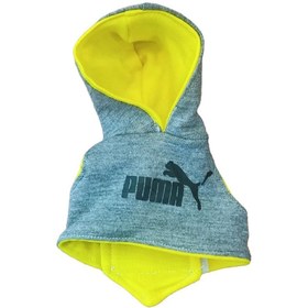 تصویر هودی طوطی سانان 