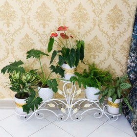 تصویر استند گلدان مدل فلوریا کن مدل 405328 