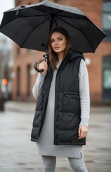 تصویر پافر رنگین کمان کد 96116 