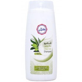 تصویر شامپو گلان مدل برگ زیتون 750 ML شامپو گلان مدل برگ زیتون 750 میلی لیتر