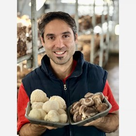 تصویر قارچ یال شیر 100 گرمی 