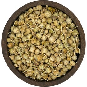 تصویر اسپند نخودی 