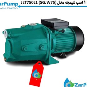 تصویر پمپ آب یک اسب جتی مدل JET750L1 (SGJW75) شیمجه Shimge Shimge SGJW Self-Priming JET Pump 1HP JET750L1 (SGJW75)