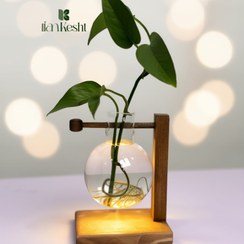 تصویر گلدان تراریومی با پایه چوبی مدل اسکای 