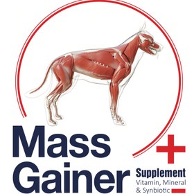 تصویر پودر مکمل بایو پت مدل Mass Gainer وزن 200 گرم 