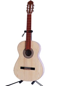 تصویر گیتار کلاسیک آگرین کد G2 