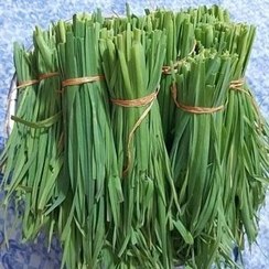 تصویر برگ سیر تازه محلی،گیلان.رشت 