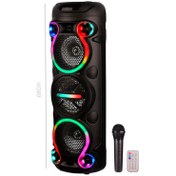 تصویر اسپیکر بی سیم سینگ ای مدل ZQS6302 قابل حمل با میکروفون 