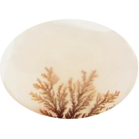 تصویر سنگ شجر کد 3041 