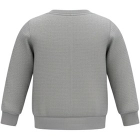 تصویر ست سویشرت آستین بلند و شلوار راحتی پسرانه مدل مارمولک PJ1388 