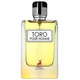 تصویر عطر ادکلن مردانه تق هرمس الحمبرا (Alhambra Hermes Terre d’Hermes) Alhambra Toro Pour Homme - Hermes Terre d’Hermes