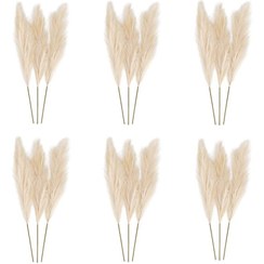 تصویر گل خشک مدل پامپاس ممتاز (پک 18عددی) 