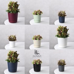 تصویر گلدان پلاستیکی مدل زمردقطر۲۵سانت ارتفاع۲۵سانت دربسته های۱۲عددی 