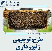 تصویر طرح توجیهی زنبورداری و پرورش زنبور عسل طرح-توجیهی-زنبورداری-و-پرورش-زنبور-عسل