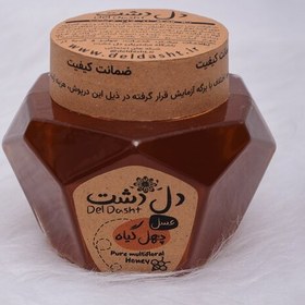 تصویر عسل چهل گیاه دل دشت - 500 گرم (گرما ندیده و بدون تغذیه مصنوعی دارای برگه آزمایش) 