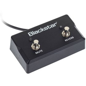 تصویر فوت سوئیچ Blackstar FS 17 