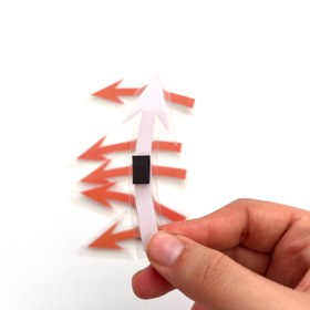 تصویر چرخه ی زندگی قورباغه 