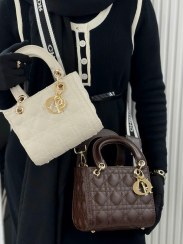 تصویر کیف مجلسی زنانه دیور ورنی 