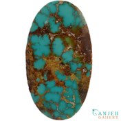 تصویر سنگ فیروزه نیشابور اصل عنکبوتی رگه طلایی کد N426 