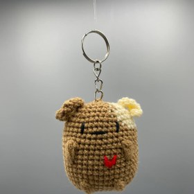 تصویر جاکلیدی هاپوکومار 