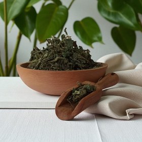 تصویر گزنه خشک 