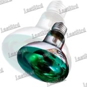 تصویر لامپ مادون قرمز ۶۰ وات سایز بزرگ 