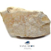 تصویر آراگونیت نارنجی دریایی نمونه اصل و معدنی S1628 