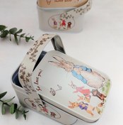 تصویر قوطی فلزی تدی و پیتر خرگوش دسته دار 