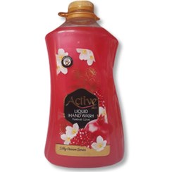 تصویر مایع دستشویی اکتیو مدل Pomegranate & Flower مقدار 2500 گرم Active Pomegranate & Flower Handwashing Liquid 2500gr