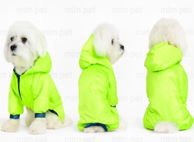 تصویر کاپشن سگ 