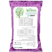 تصویر کود زیستی فسفوران بایوران مدل BPB02 وزن 5 کیلوگرم Phosphorun Biorun Fertilizer