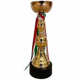 تصویر کاپ قهرمانی کد IR021 تکی 