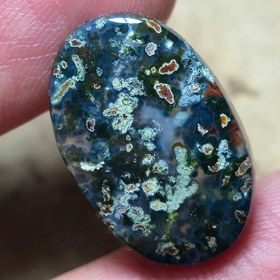 تصویر شجر چند رنگ زیبا خاص 