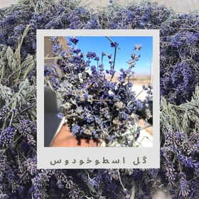 تصویر گل اسطوخودوس اعلا 50 گرمی lavender flower 50g