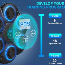 تصویر کیسه بوکس مدل موزیکال کد FAST PRO 