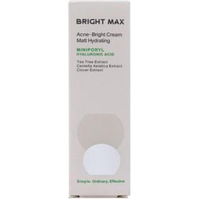 تصویر مرطوب کننده آکنه مات برایت مکس Bright Max Oily & Acne Skin Matt Hydrating Cream